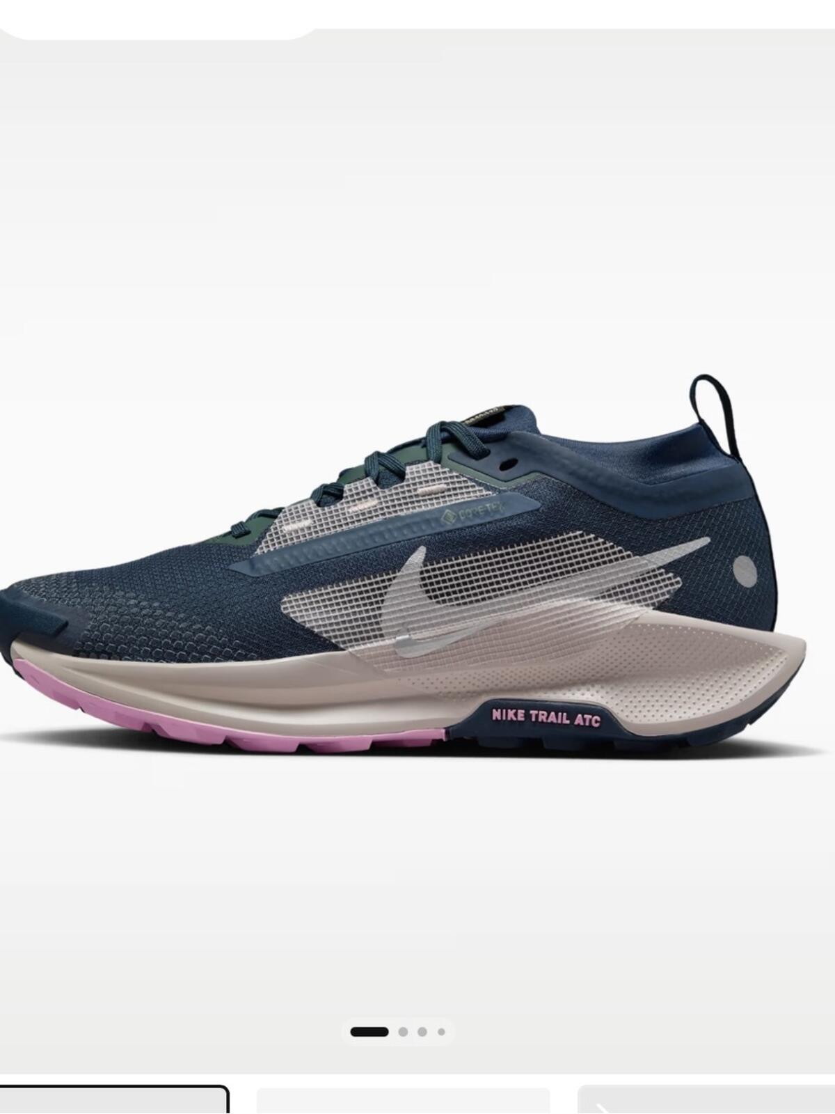 Nike Pegasus Trail 5 GORE-TEX