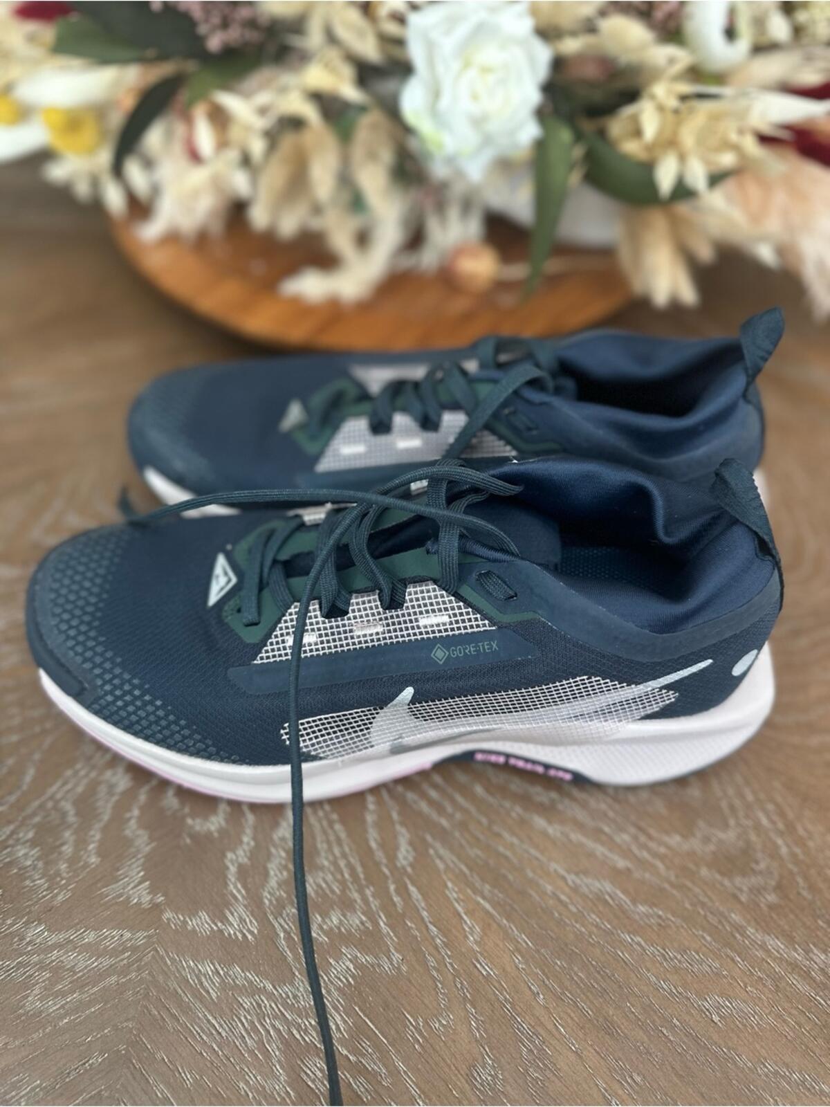 Nike Pegasus Trail 5 GORE-TEX